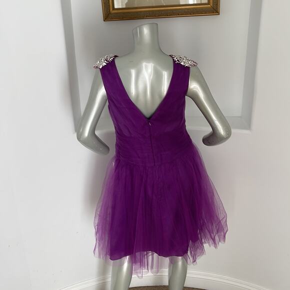 KATHY HILTON Raspberry Fit & Flare Mesh Dress Beads Embellished Shoulder Size 10 - Picture 12 of 14